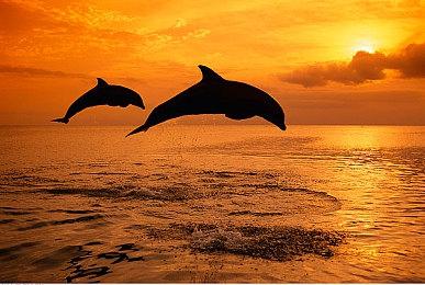 类Rogue视觉小说游戏《西部公路》现已在Steam平台正式发售